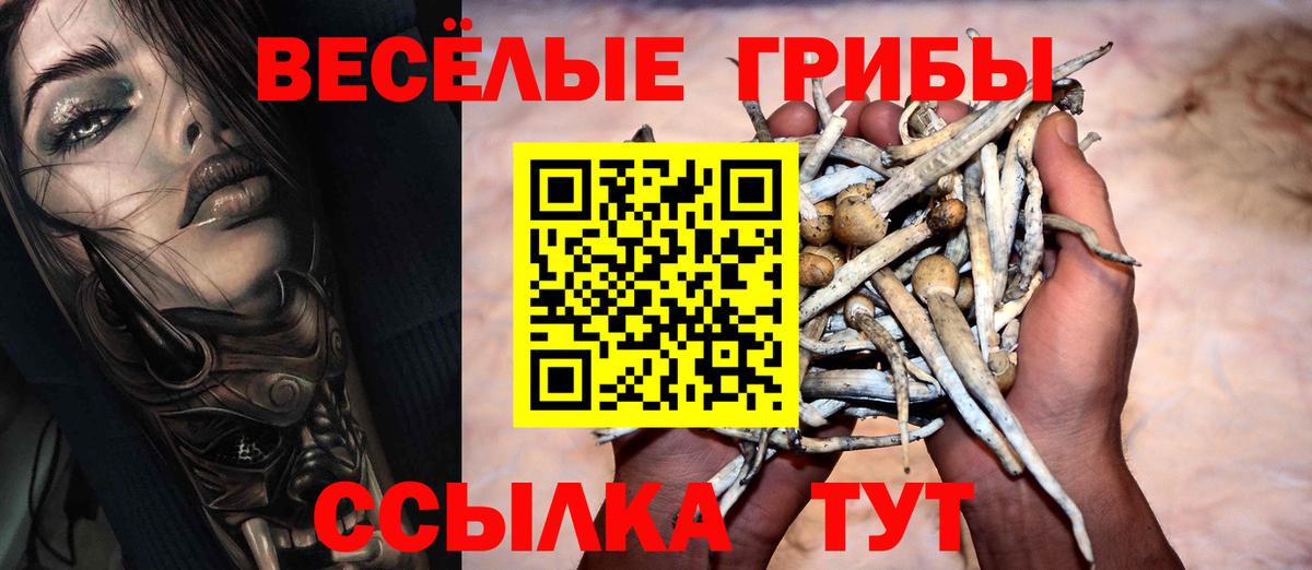 Псилоцибиновые грибы Psilocybe  хочу   Сокол  Вход с VPN 